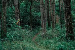 BIB: 
                            <button type="button" onclick="openModal(25236805)" class="btn btn-primary btn-sm float-right btn-popup" data-toggle="modal" data-target=".modal-high-quality">
                        <i class="fas fa-shopping-cart"></i> Add to Cart
                    </button>
                                            <button type="button" onclick="isThisMe(25236805, true)" class="btn btn-success btn-sm float-right btn-popup btn-isme hidden" data-toggle="tooltip" data-placement="bottom" title="นี่คือรูปของคุณใช่ไหม คลิกที่นี่เพื่อเอาเข้าอัลบั้ม">
                        <i class="fas fa-plus"></i> Add to album
                    </button>
                    <button type="button" onclick="isThisMe(25236805, false)" class="btn btn-warning btn-sm float-right btn-popup btn-isnotme hidden">
                        <i class="fas fa-ban"></i> Remove from album
                    </button>